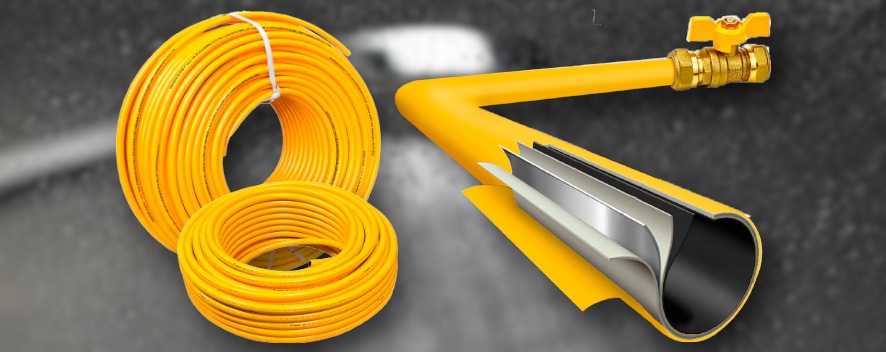 WhatsApp Image 2025-11-13 at 5.55.14 PM